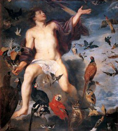 'Eólo', De Rubens, Cuadro del Museo del Prado en el que aparecen múltiples variedades de aves.