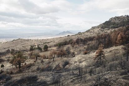 Una colina quemada de los alrededores de la ciudad de Prilep. Allí, la única manera de calentar las casas es con leña. Comprarla a los vendedores oficiales cuesta muy caro y, además, se tarda mucho en conseguirla. Según los habitantes de la ciudad, alrededor del 60% de la población compra leña en el mercado negro. Los llamados "ladrones de madera" son tanto macedonios como de etnia gitana, y se han dividido las colinas que rodean la ciudad. Son delincuentes peligrosos y van armados. A veces se producen tiroteos con la policía. La leña que venden en el mercado ilegal es muy barata, pero también muy contaminante porque todavía está húmeda y no se ha tratado adecuadamente. Según los ecologistas, la colina fue incendiada durante una venganza entre "ladrones de madera" ilegales.