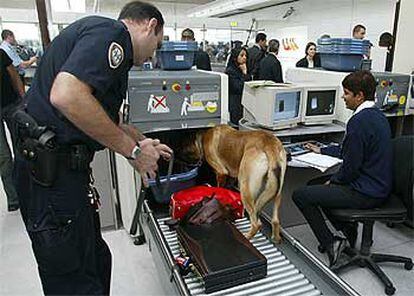 Un agente de seguridad examina equipajes con un perro adiestrado en el aeropuerto Charles de Gaulle de París.