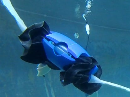Vídeo | El robot inspirado en las tortugas que promete ayudar a la preservación ambiental 