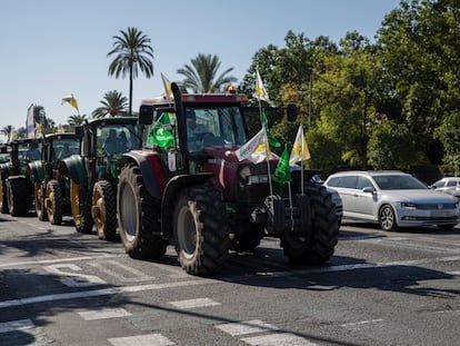 Agricultores y ganaderos de Andalucía se manifiestan para que se rectifique la propuesta de plan estratégico de la PAC en las calles de Sevilla.