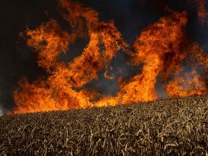 Un campo de trigo en llamas tras un bombardeo a pocos kilómetros de la región de Járkov, en julio de 2022.