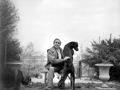 Louis-Ferdinand Céline (1894-1961), con su perro en la ciudad francesa de Meudon, alrededor de 1955, donde se instaló tras regresar a su país desde Alemania.