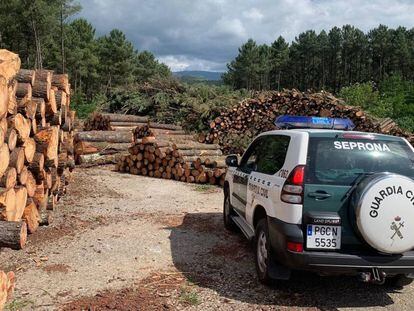 Un coche de la Guardia Civil en la empresa que vendía madera infectada.