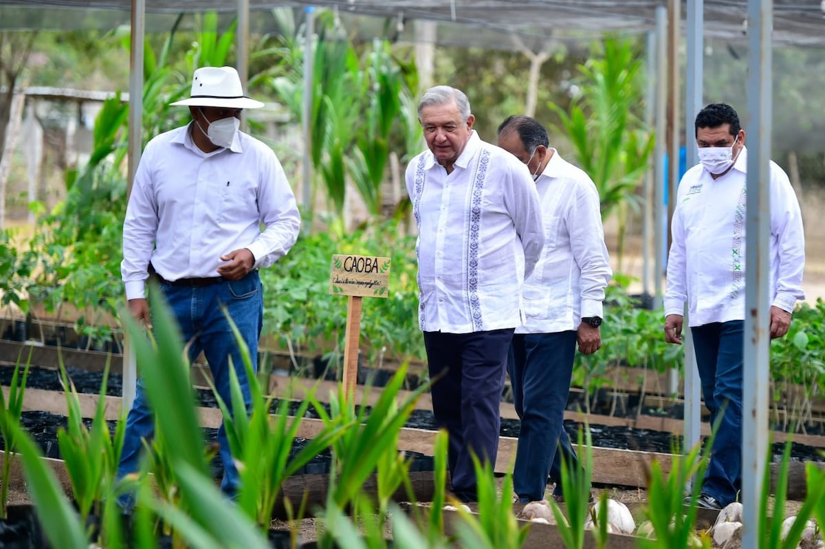 The United States is ignoring a Mexican proposal to link immigration and “seed life” at the climate summit