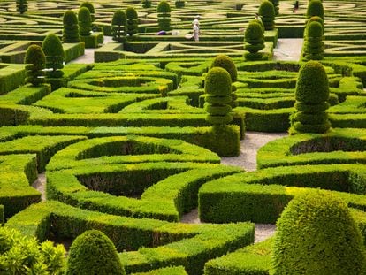 Los jardines del castillo de Villandry, en el valle del Loira (Francia).