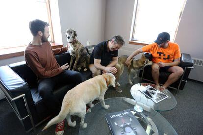 Dave McMullen y Bill Dicke, empleados de Tungsten Collaborative, mantienen una reunión en compañía de un grupo de perros, el pasado 5 de mayo, en Ottawa.