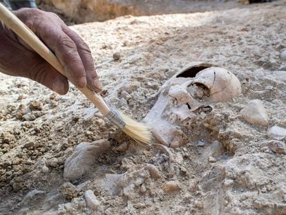 Los huesos hallados en la fosa 548 en el cementerio de San Eufrasio de Jaén.