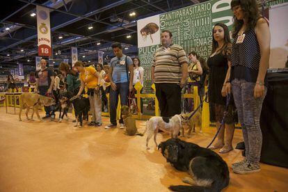 La feria reúne a 133 empresas.