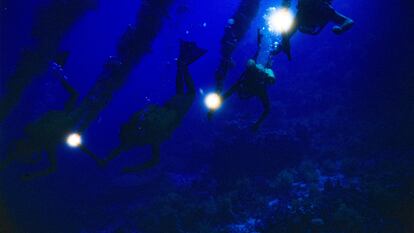 Una imagen del documental 'Cousteau: pasado y futuro'.