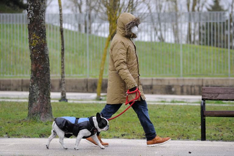 Una persona pasea a su mascota por Vitoria.