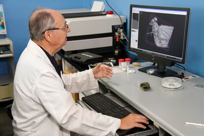 Javier Alba-Tercedor, a researcher at the University of Granada, displays the microscopic image of a Mayfly.