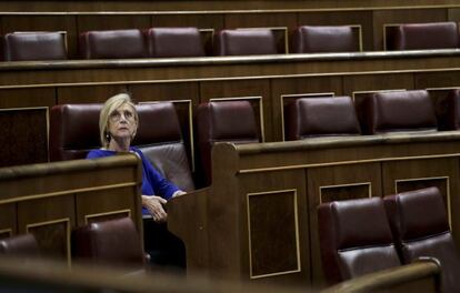 Rosa Díez, en el Congreso.