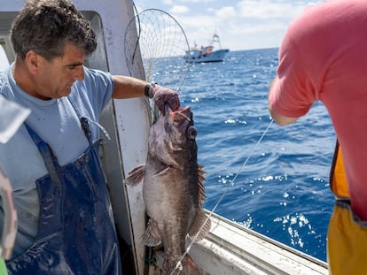 Manuel Ligero, patrón del barco de pesca ‘El Millonario’, sacando parte de la captura obtenida en aguas de Marruecos.