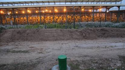 Planta de clor d'Ercros a Flix.