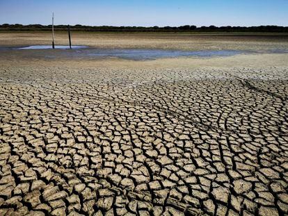 La laguna de Santa Olalla, en Doñana, este septiembre.