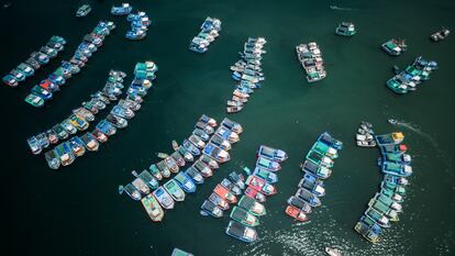 Actualmente, la flota artesanal peruana se estima en más de 18.000 embarcaciones. En la imagen, pesca artesanal en Paita, el puerto pesquero más grande del norte del Perú, el 7 de noviembre de 2023.