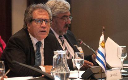 El canciller uruguayo, Luis Almagro, y el embajador ante la OEA, Milton Romani. EFE/Archivo