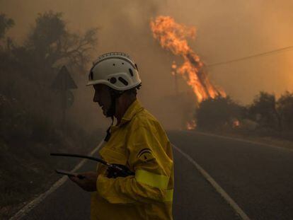 Incendios intencionados em EL PAÍS Brasil