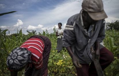 Formación para agricultores en Gakindo (Ruanda).
