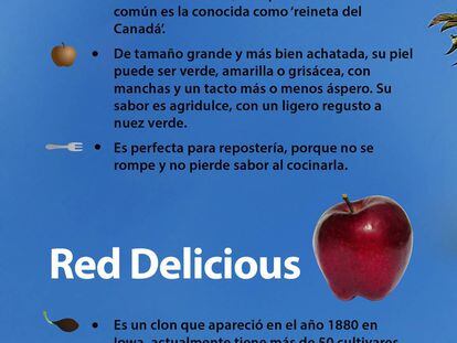 Nueve tipos de manzanas (y qué hacer con ellas)