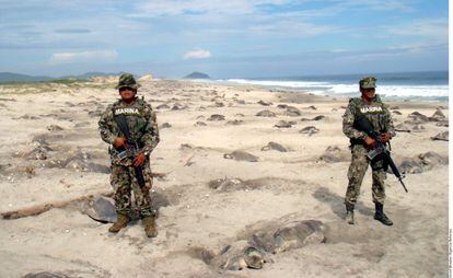 Soldados junto a tortugas en Oaxaca.