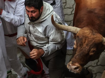 Un toro de la ganadería de Núñez del Cuvillo, en el tramo posterior a la Cuesta de Santo Domingo, en el quinto encierro de los Sanfermines 2023, este martes.