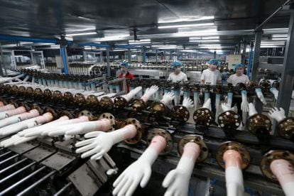 Cadena de producción de guantes de vinilo desechables en una fábrica en China.