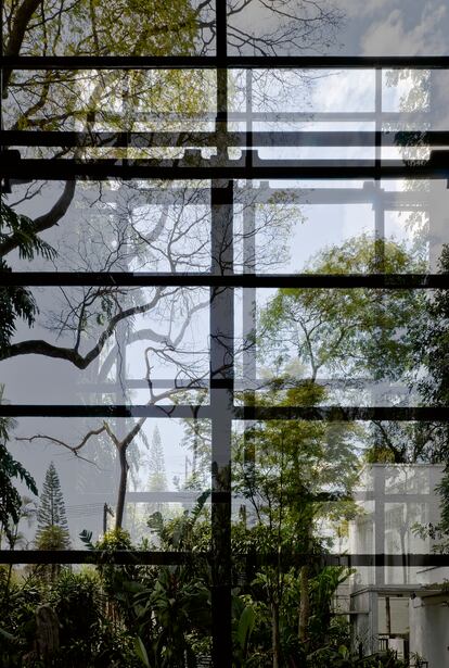 Ventanal Lasar Segall, 2008