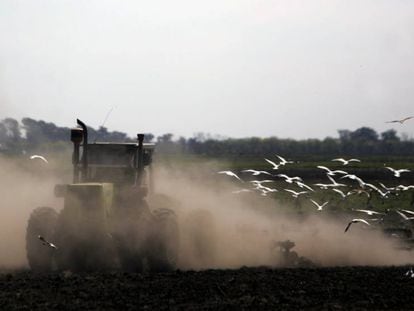 Un tractor cosecha soja en un campo de la provincia de Buenos Aires.
