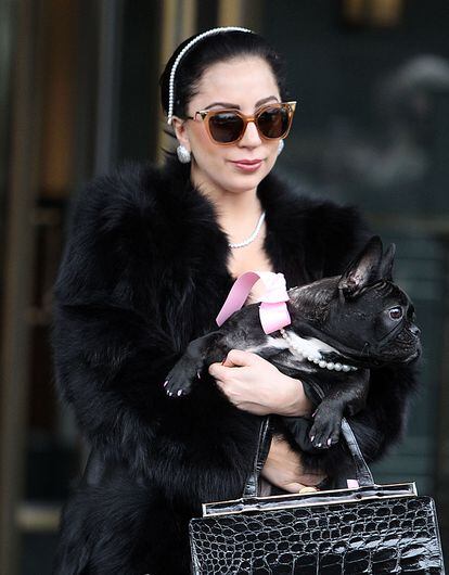 Lady Gaga con su bulldog Asia en Nueva York en diciembre de 2014.