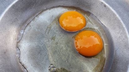 Un huevo de dos yemas de la Sociedad Avícola Di-Huevos, en Dibulla, Colombia.