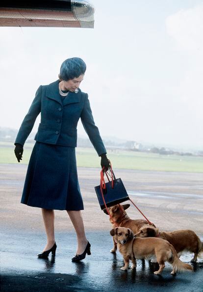 Isabel II, con sus corgis en el aeropuerto escocés de Aberdeen, en 1974.