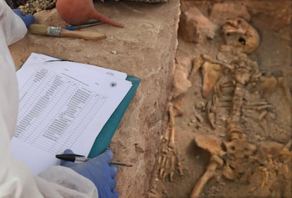 Trabajos de exhumacion de la fosa comun anexa al cementerio de Almagro, en Ciudad Real, el pasado mayo.