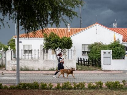 Una mujer pasea con su perro por la colonia Campamento.