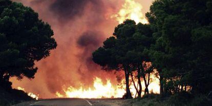 El incendio en la comarca de las Cinco Villas, el sábado.