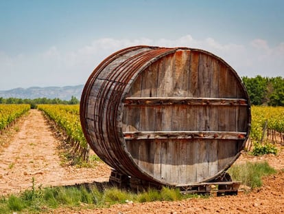 Viñedos en Corrella, en Navarra.