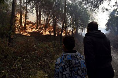 El incendio declarado en Bernago ha quemado unas 120 hectáreas.