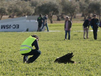 Un agente observa los restos del ave contra la que pudo chocar la avioneta. 