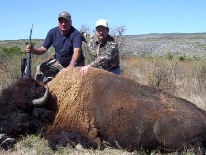 Fotografía difundida por el sitio web del rancho Buena Vista, donde ofrecían el servicio de cacería del bisonte americano.