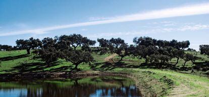 Finca en Higuera de Vargas (Badajoz).