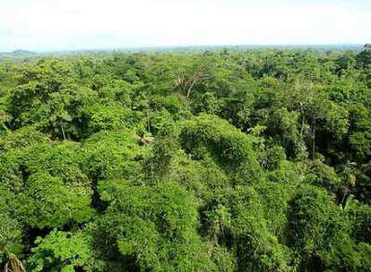 Estación biológica de La Selva en Sarapiqui (Costa Rica).