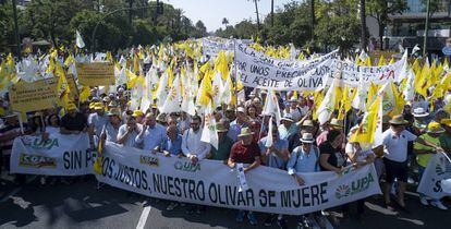 Manifestación de olivareros andaluces  en protesta por los bajos precios del aceite de oliva celebrada en julio de 2019 en Sevilla. PACO PUENTES