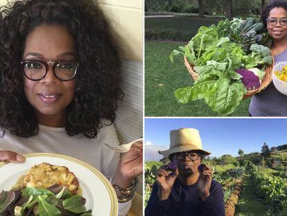 Oprah Winfrey presenta su libro de cocina sana.