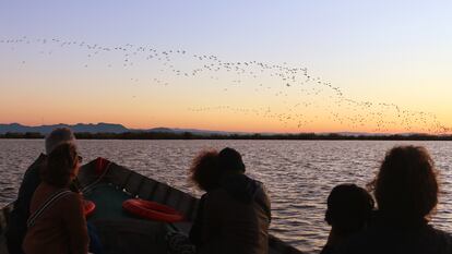 Visitantes en una barcaza de madera observan un bando de ibis en la Albufera momentos antes de que se ponga el sol.