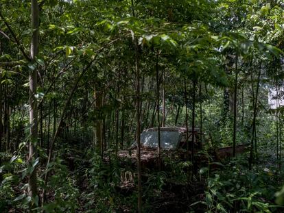 Los restos de una camioneta en la comunidad guatemalteca de Sebol, Izabal, un año después de los huracanes Eta y Iota.