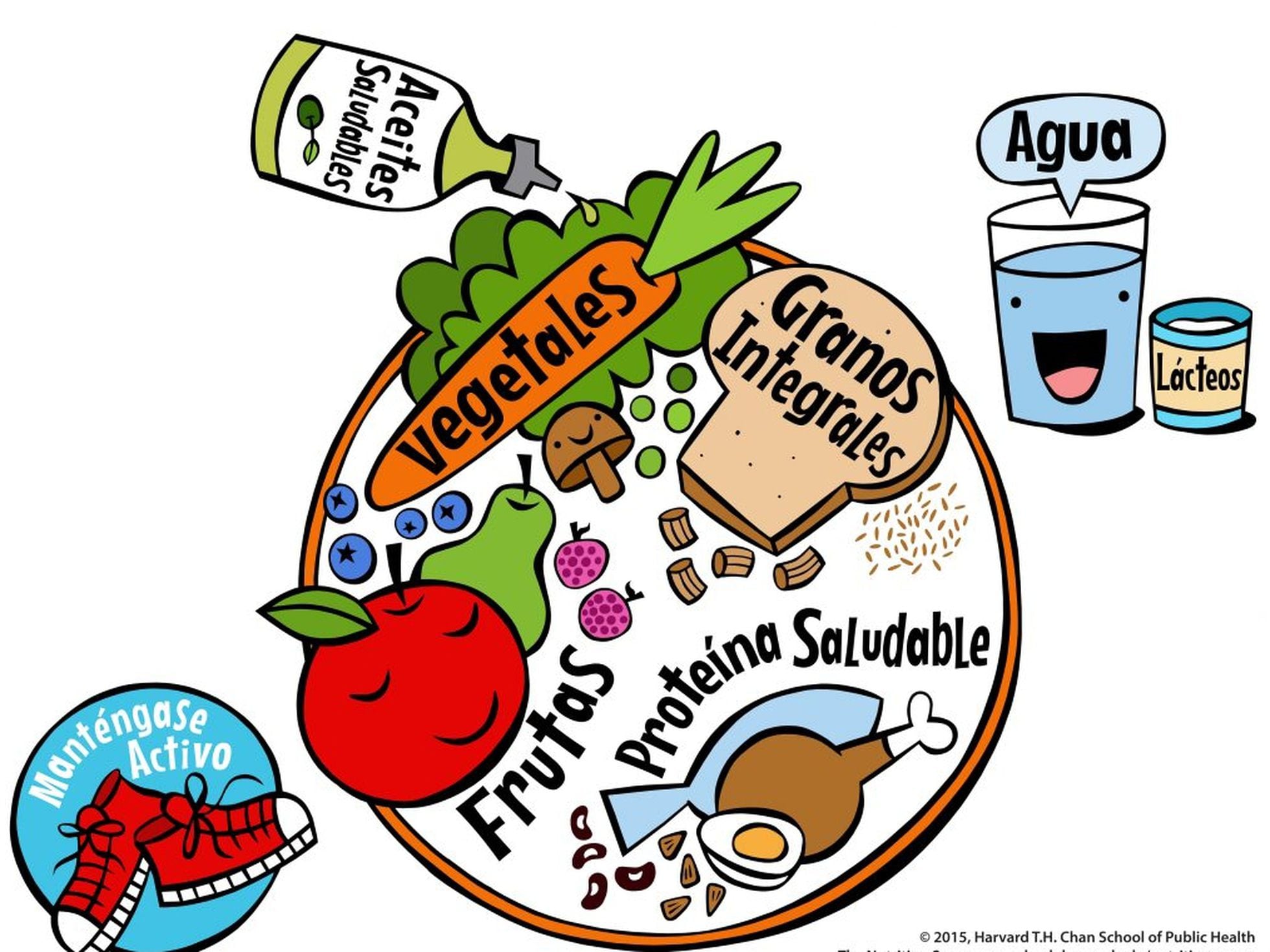 Alimentación Infantil: El 'Plato' de Harvard para que los niños coman bien:  qué es y cómo ayuda a prevenir la obesidad infantil | Familia | Mamas &  Papas | EL PAÍS