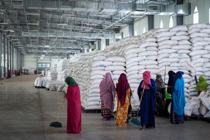 Unas empleadas limpian el suelo de un almacén del Programa Mundial de Alimentos con víveres destinados a las regiones de Afar y Tigray el 21 de febrero de 2022.