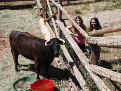 Mobilització a Tarragona per evitar el sacrifici de l animal per no tenir els papers en regla