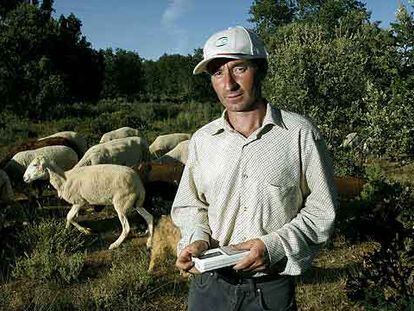 Rafael Lobato, alcalde de Peque de la Carballeda, en el campo con sus ovejas.